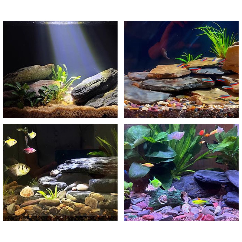 Zestaw kamieni do akwarium 500 – Marine Fish Tank recenzja i cena