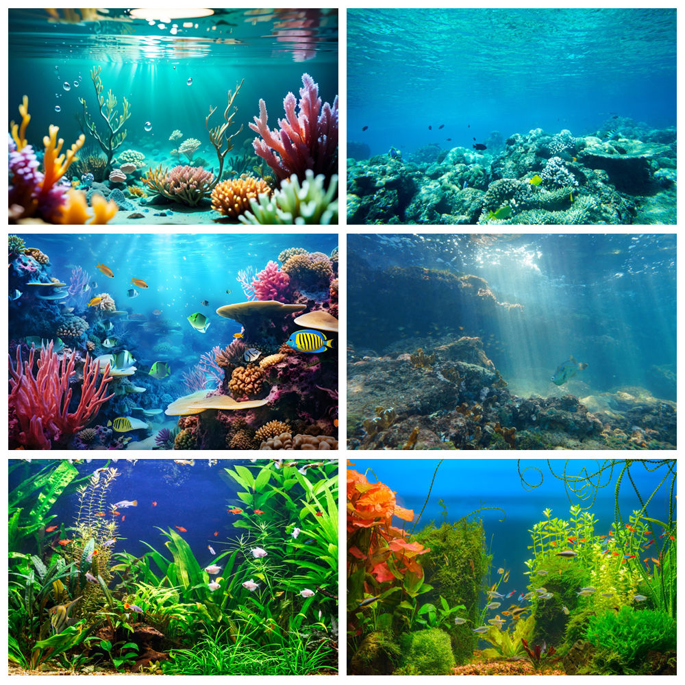 Tło fotograficzne podwodny świ – Aquarium Marine World recenzja i cena