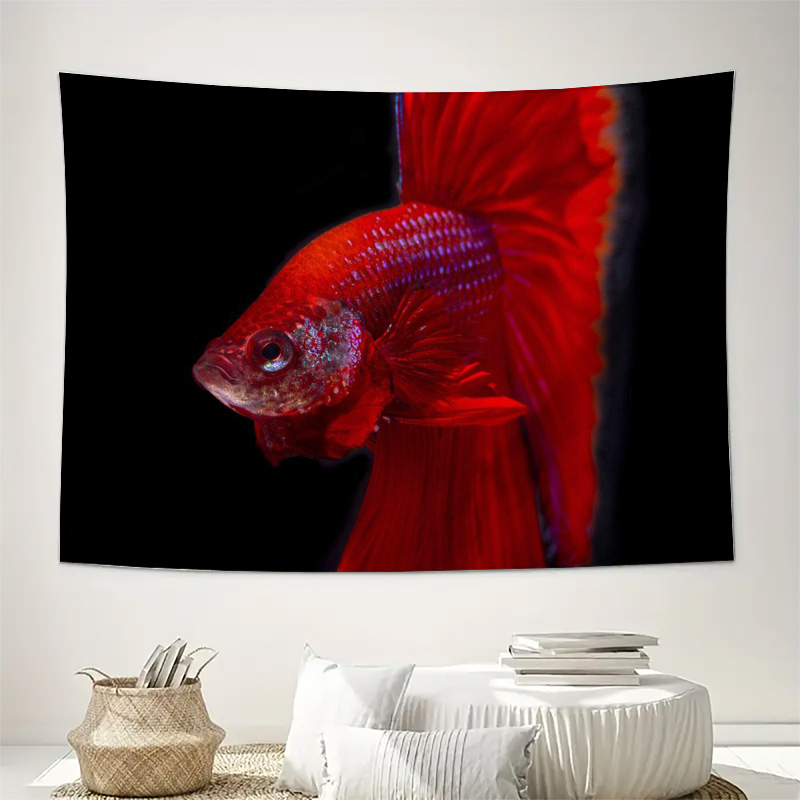Żywy Czerwony Betta Ryba Gobel – Ocean Aquarium recenzja i cena